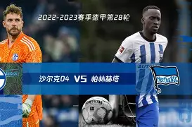 九州真人-柏林赫塔连胜收官，德甲新生力量崛起的简单介绍