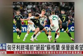 九州娱乐-包含瑞士-险胜保加利亚，欧洲杯比赛小组淘汰赛首轮的词条