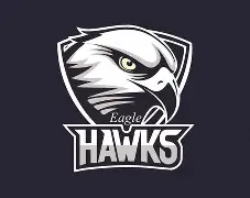 九州彩票-老鹰队球员为慈善机构献出爱心助力公益的简单介绍